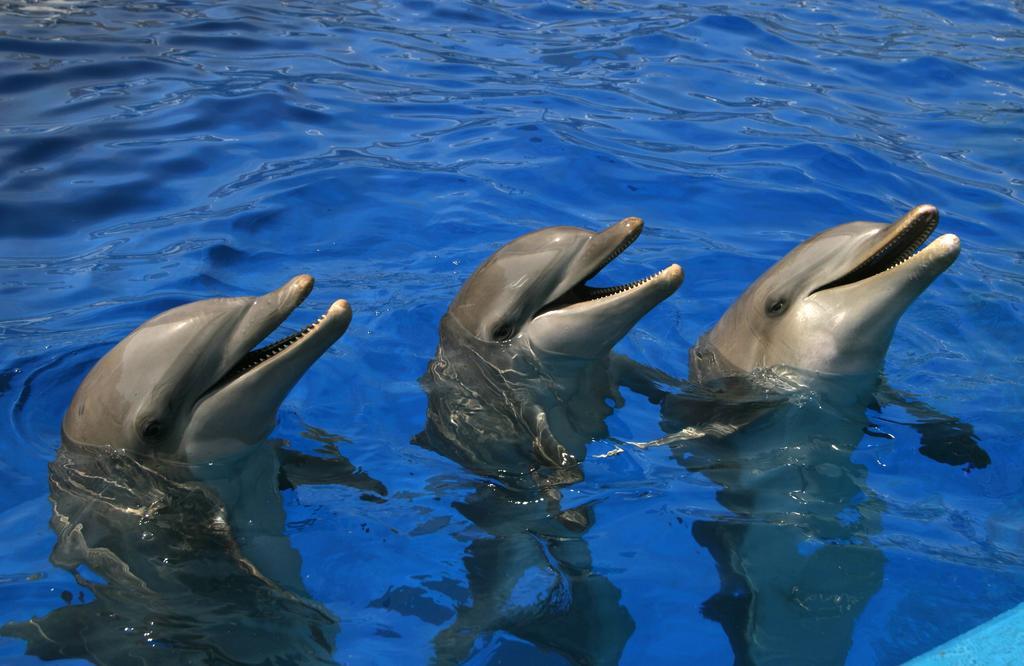 ポルト・サプラヤLa Vista Al Mar De Belenアパートメント エクステリア 写真